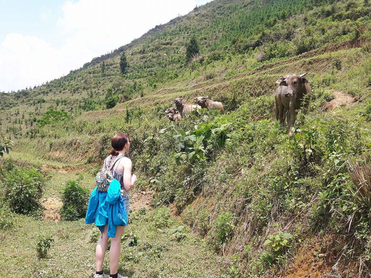Flower Hmong Homestay Bac Ha  Exterior foto