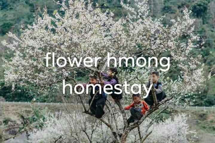 Flower Hmong Homestay Bac Ha  Exterior foto